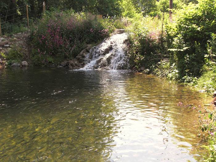 lac pèche cascade